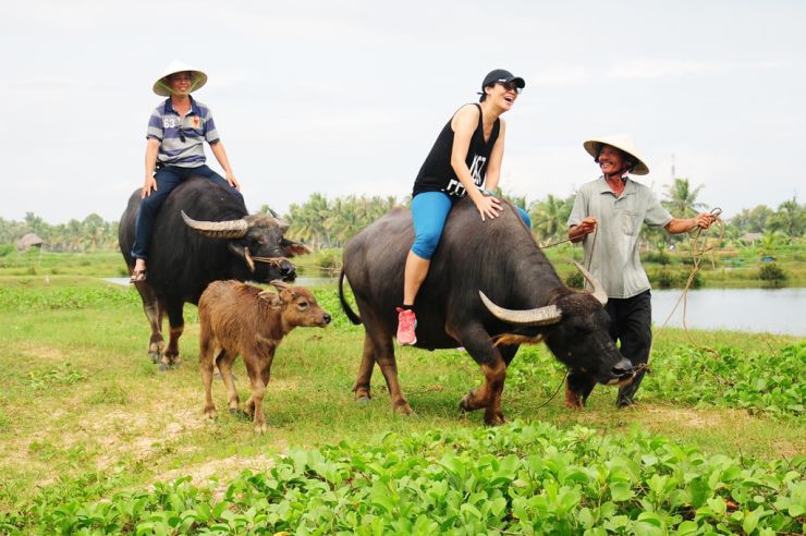 Hoi An – Buffalo ride adventure & Basket Boat