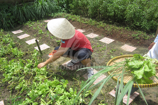 HCM Cooking Class & Cu Chi tunnels