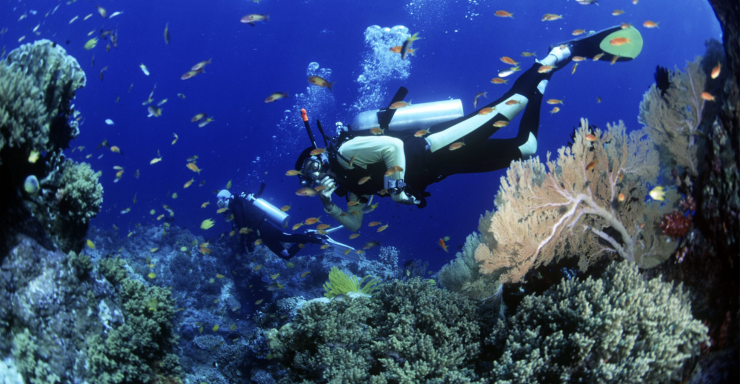 Cham Island Scuba diving group tour