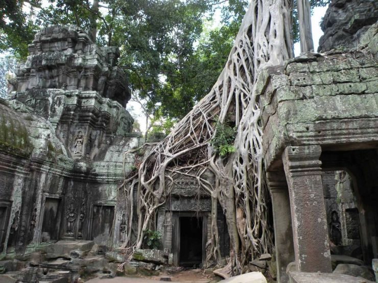 Cambodia Insight
