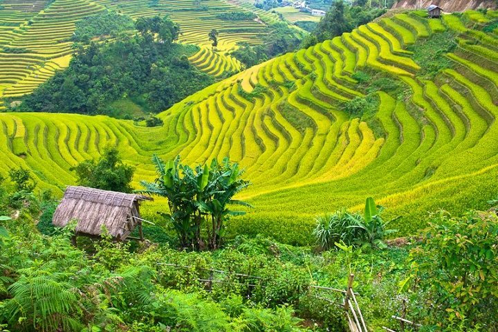 Mai Chau Adventure
