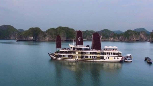 Orchid Cruise Halong