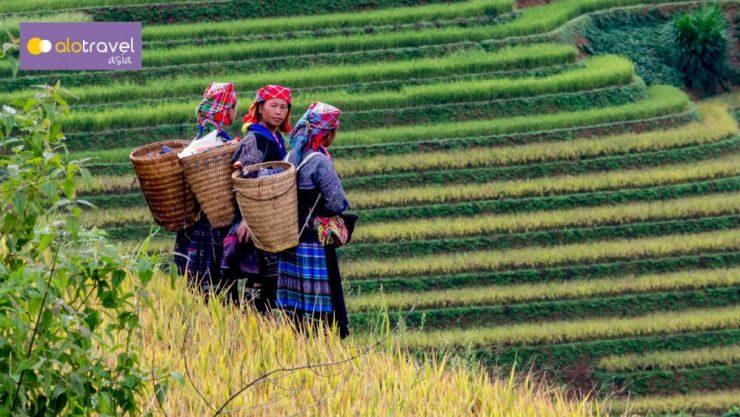 Sapa Short Trek – Homestay