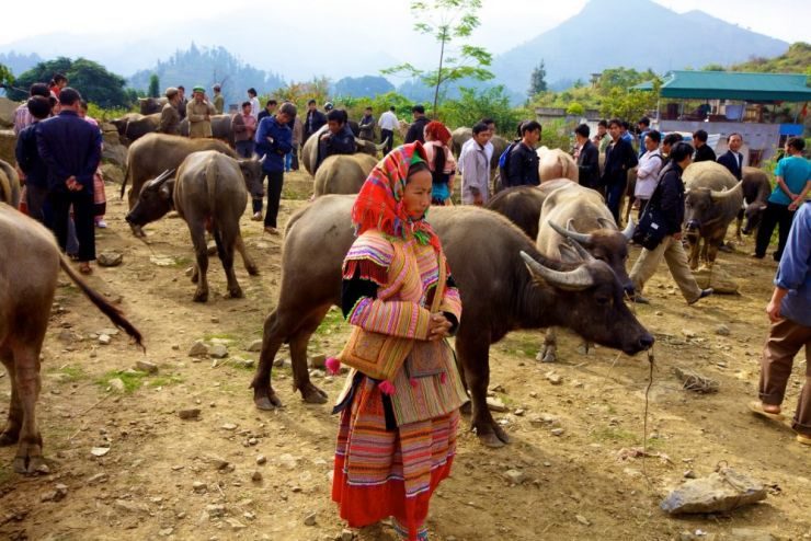 Sapa Bac Ha Market 3 days Classic