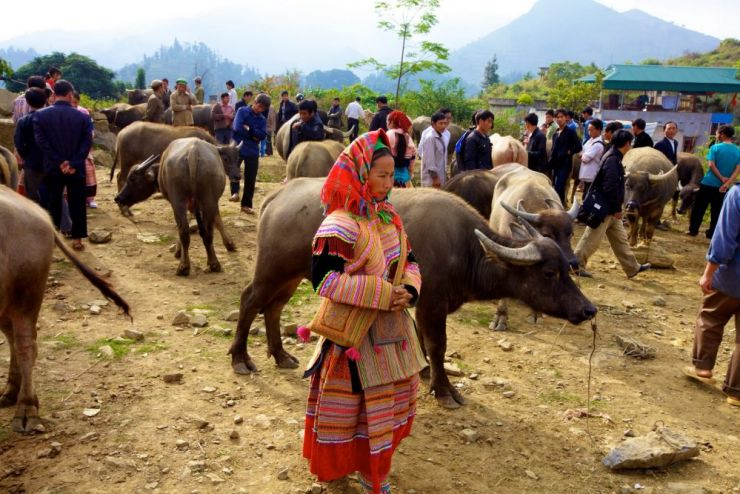 Sapa Bac Ha Market 2 days
