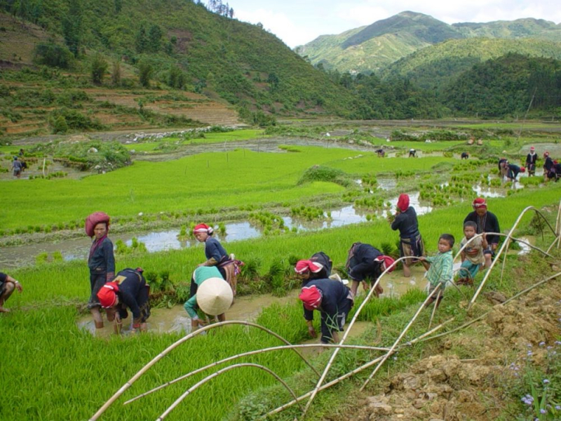 Sapa Classic Tour