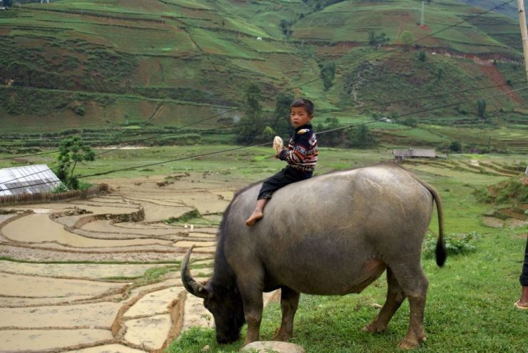 Sapa Long Trek – Homestay