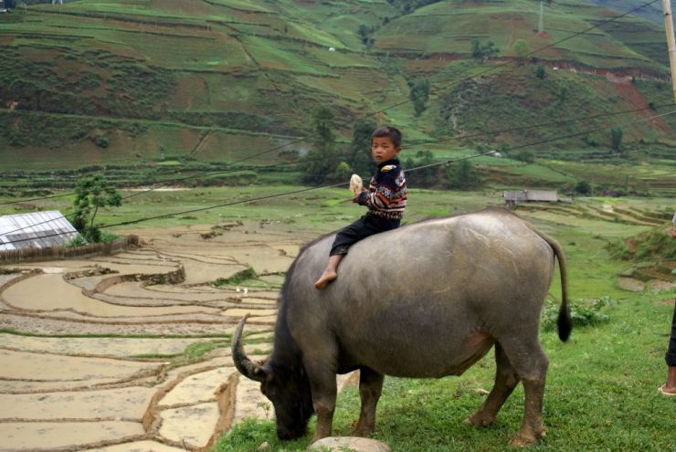 Sapa Long Trek – Homestay