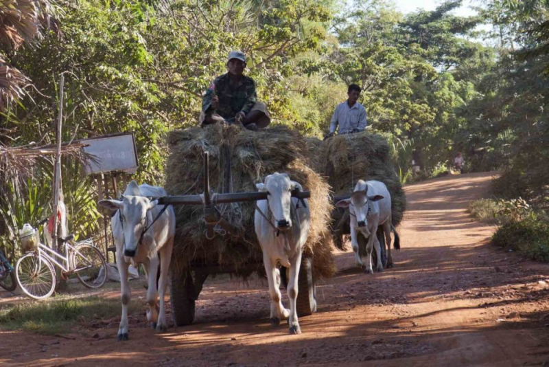 Siem Reap Farming Life 6D5N