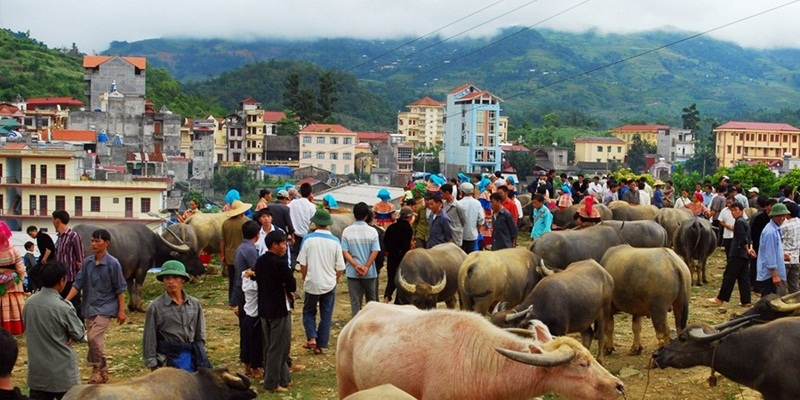 2 days 1 night Sapa – Bac Ha market (Depart on every Saturday)