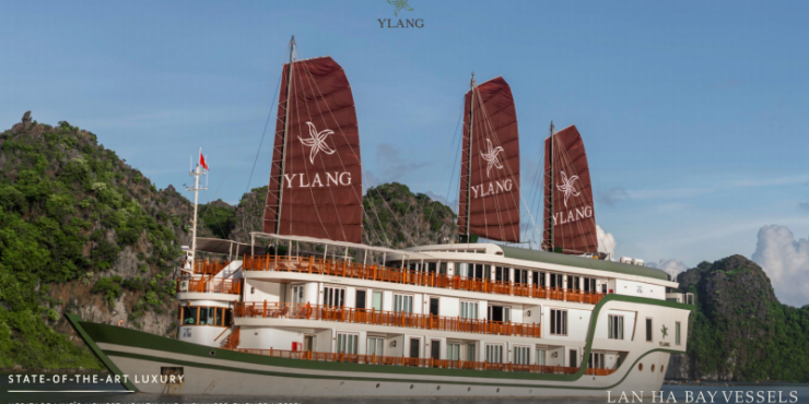YLang Cruise