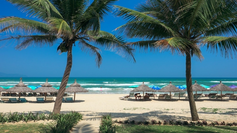 My Khe beach with palm trees