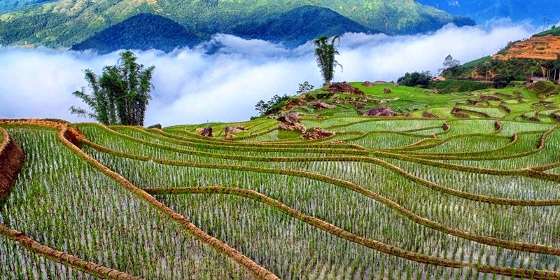 Memorable 2 Days Sapa Trekking Tour, Stay At Ecolodge