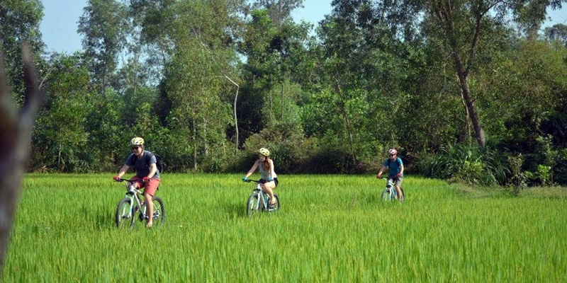 1 Day Traditional Countryside Cycling Hoi An Tour