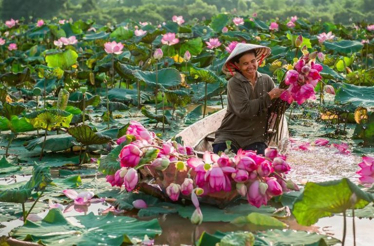 Vietnam Highlights Journey: From Hanoi to Saigon 8D7N