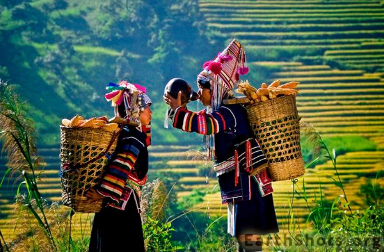 Vietnam Highlights & Mountain Trekking: From Hanoi to Saigon 15D14N